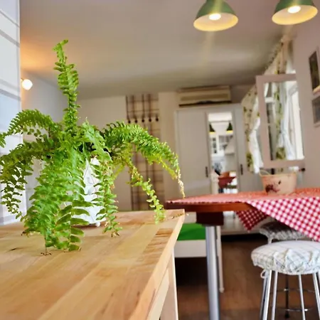 Bay House Rosohotnica -